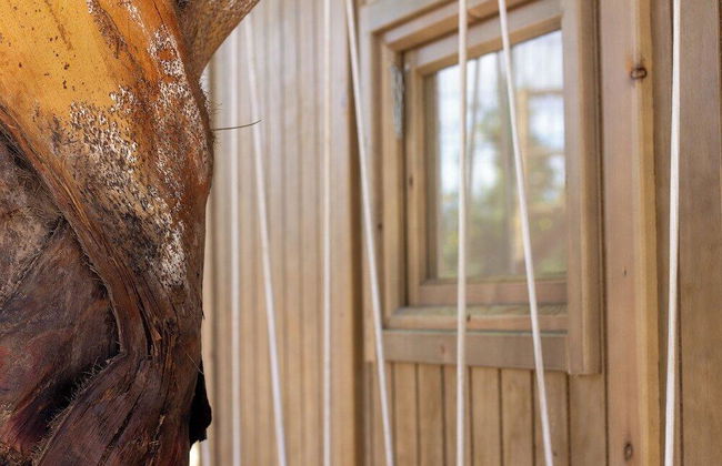 Taiga Almeria Playa - Photo 15