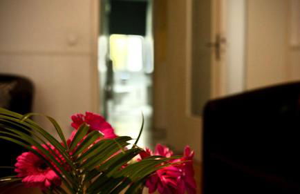 Pension Tokus - Foto 59