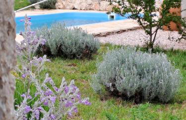 Heritage House Vrime - stone house with heated pool - Photo 4