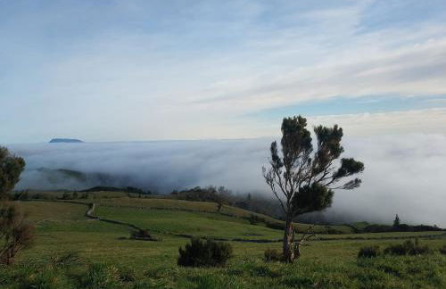 Casa da Queijaria - Foto 34