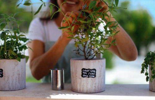 Moinho do Duque - Foto 40