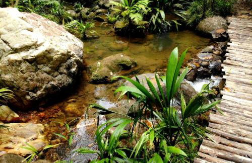 La Luciole Ecolodge - Foto 56