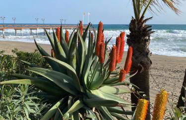 Blue Lady by the Sea - Photo 56