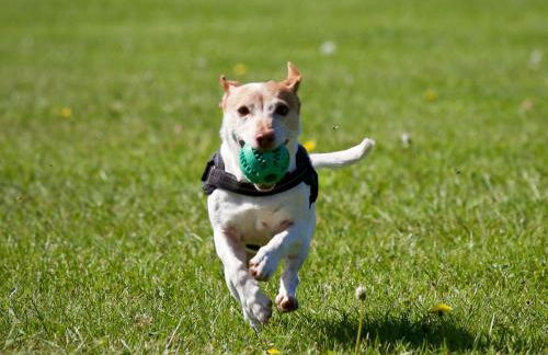 Casa Vaqueiro Llanes VV-1727-AS - Foto 46