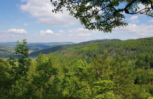 Ältestes Haus in Quentel - Ferienwohnung 2 mit Dachterrasse - Foto 18