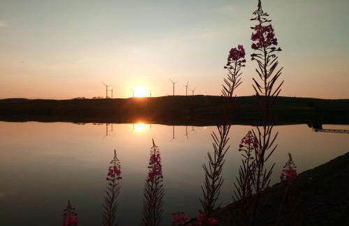 Buckieburn - self-catering - rural - Foto 22