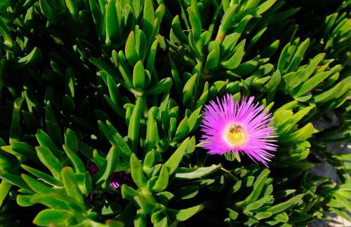 MILORA SuNSET - Foto 58