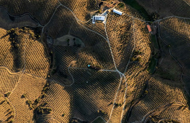 Golden House - Foto 45