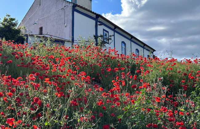 Herdade do Vidigal - Foto 76