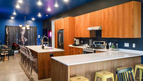 Austin Icon Group Mansion - 6min to Rainey Street - Foto 2, stove, pet friendly