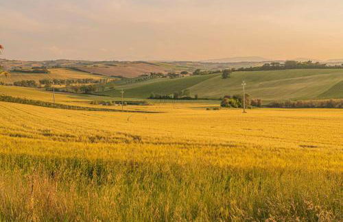 Agri Divin Amore - Foto 29