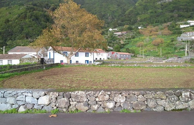 Casas dos Vimes - Foto 16