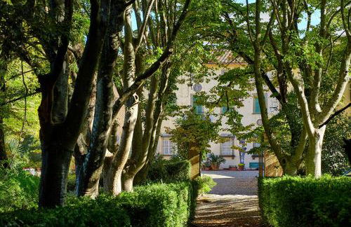 Agriturismo La Fattoria di Capezzana - Photo 38