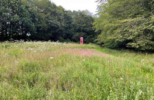 The Lodge At The Lake House - Foto 27