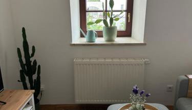 Rare Gem in Wasserburg - Foto 4