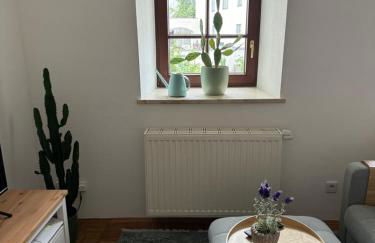 Rare Gem in Wasserburg - Foto 4