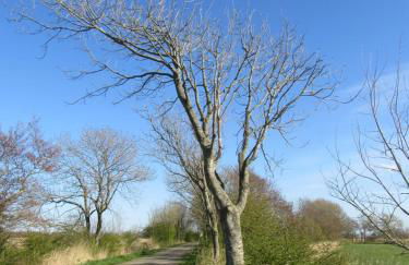 Ferienwohnung Nowara - Foto 20