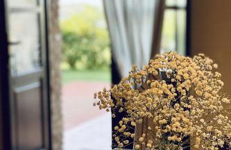 Il Poggio Della Pieve Apartments - Foto 70