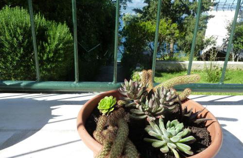 Apartment Vanda - Photo 18