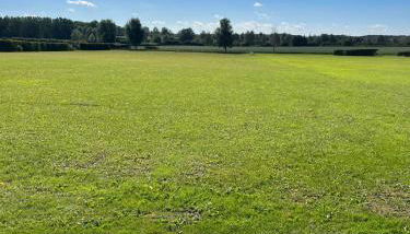 The Old Stable - Foto 5