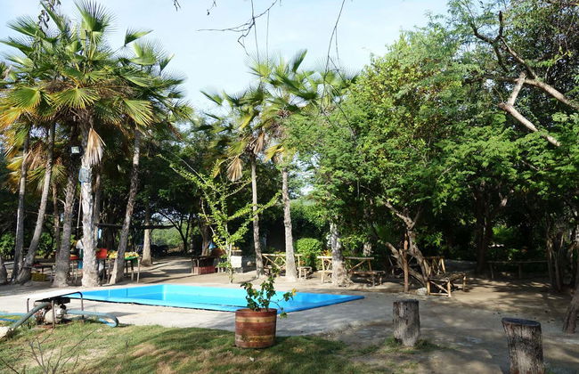 Excursión a las termas El Volcán - Foto 6