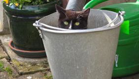 Ferienwohnung Streckhofidylle - Foto 5