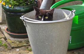 Ferienwohnung Streckhofidylle - Foto 5