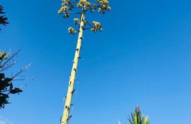 Home Music & Love - Foto 74