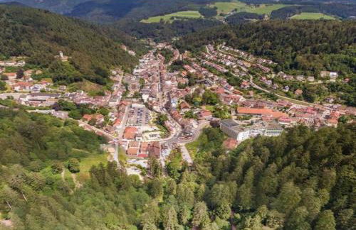 Lush Apartment in Furtwangen near Black Forest with Balcony - Foto 64