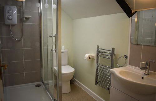 Kingfisher - Foto 13