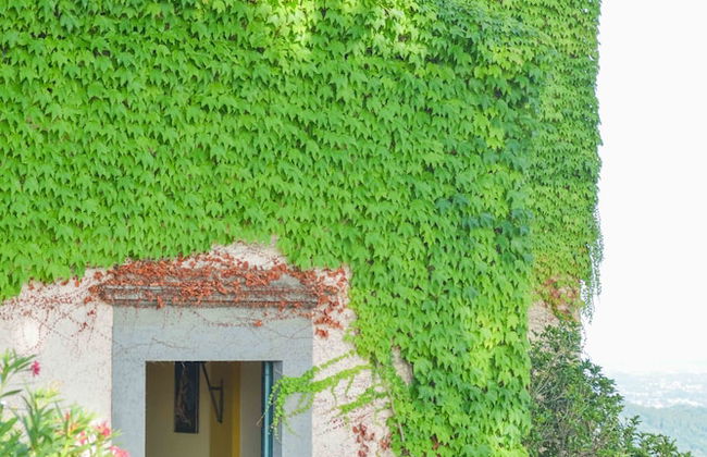 Relais Farinati - Adults only - Foto 45