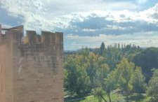 Mirador del Torreón - Foto 12