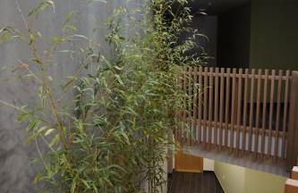 Lumen Place APARTAMENTOS - Foto 61