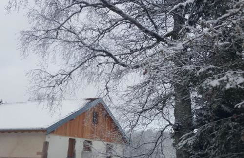 Gîte élégant en pleine nature avec terrasse, départ randonnées, parking privé et équipements inclus - FR-1-589-384 - Foto 19