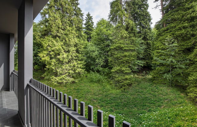 Dialog Kokhta Aparts - Foto 24