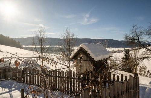 Tötscherhof - Foto 34