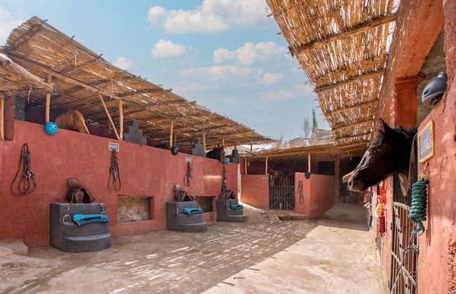 La Fattoria Ecolodge - Foto 42