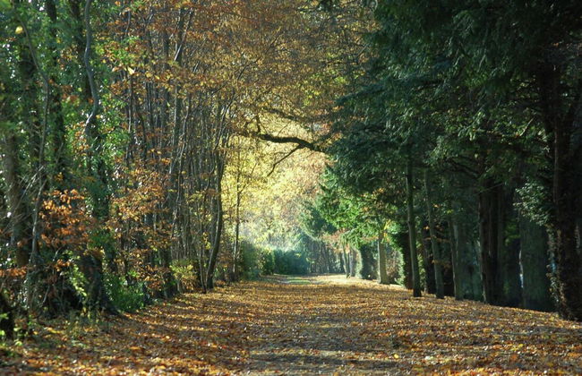 Cottage in Jedburgh With Stunning Views - Foto 13