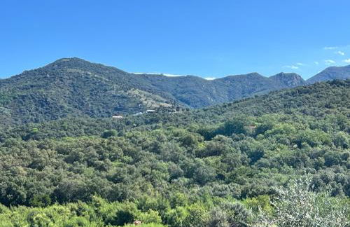 Modern 4 bedroom villa, air-conditioning, swimming pool, private gardens - Photo 29