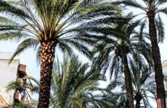 Valencia Apartamentos Goya - Photo 32