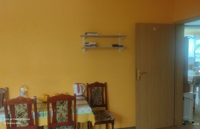 Agroletnica Country house - Foto 21