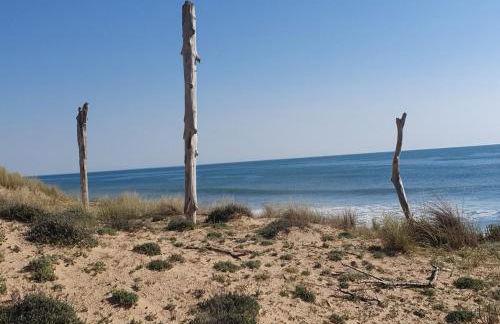 Les Cariatides - Foto 6