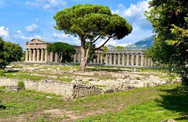 Il Giardino di Athena 1 - Foto 25