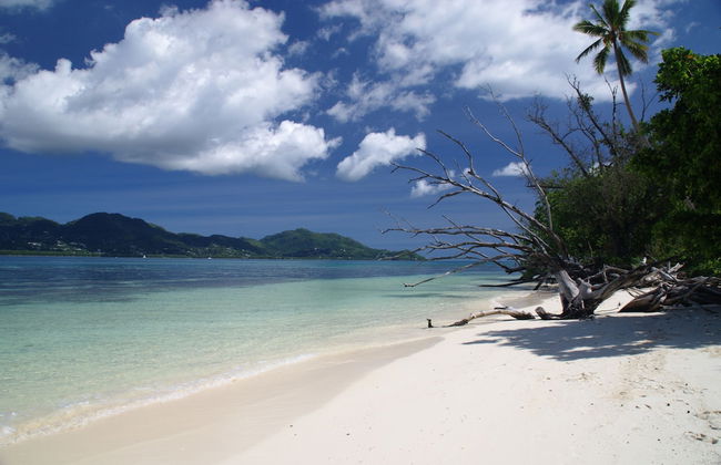 Fairytern Chalets - Photo 1