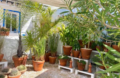 Casa da Aldeia - Foto 56