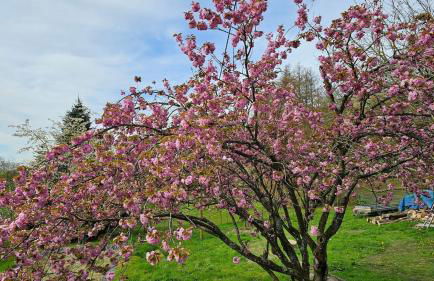 Apartment with pool and wide view - Foto 18