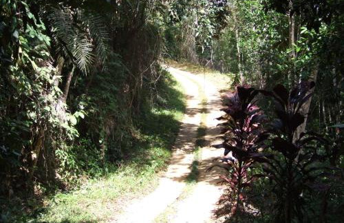 Sítio Canto das Águas - Foto 15