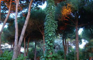 Casa a Cervia, via Gargano 14 - Foto 15