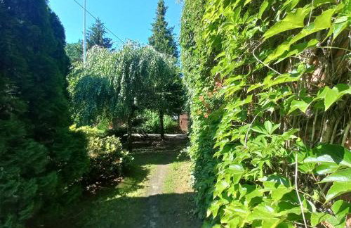 Avalon Połchowo - Foto 33