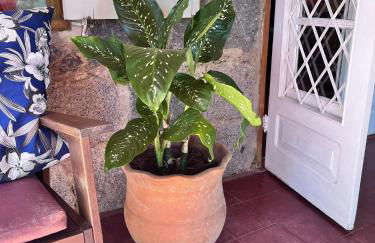 Chalé Gaia - Hospedagem Itatiaia - Photo 61